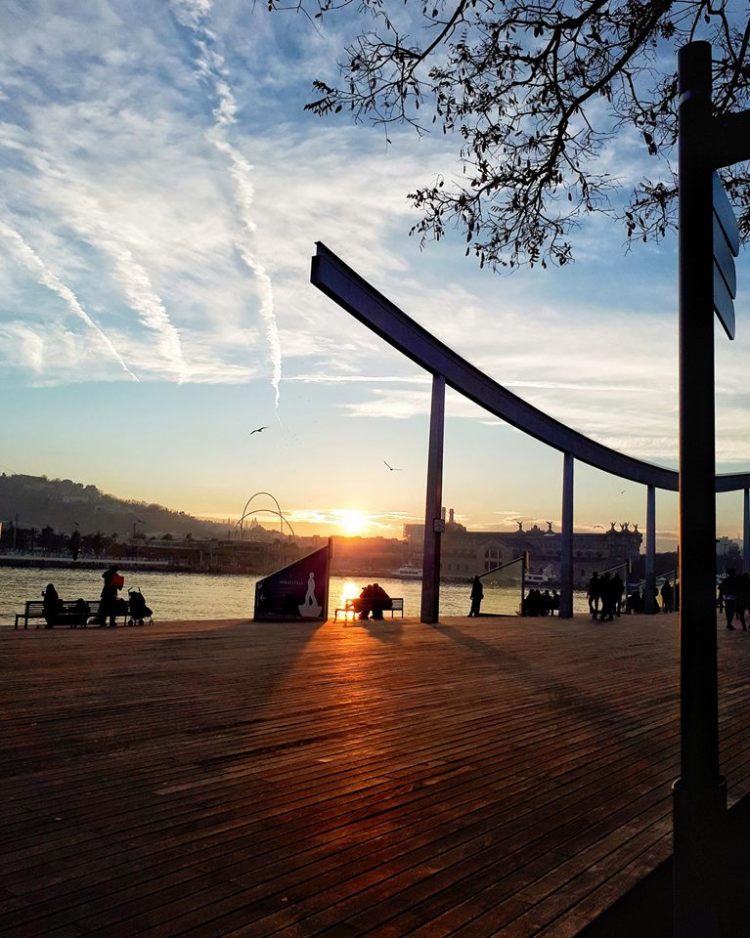 28870646_10156177757969450_909175754007248896_n