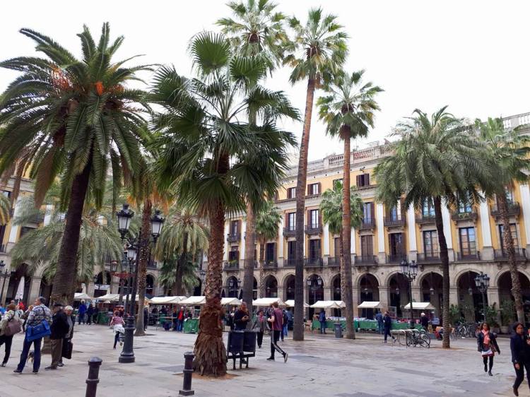 29104067_10156185157709450_3816352903791116288_n